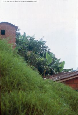 Barrio veinte de julio de Medellin
PEVAL 1982
Palabras clave: BARRIO VEINTE DE JULIO MEDELLIN