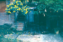 Fachada de vivienda, barrio Eduardo Santos
CEHAP
PEVAL AT-PHP, 1988
Palabras clave: EDUARDO SANTOS