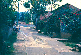 Via de acceso en pendiente, barrio Julio Rincon
CEHAP
PEVAL AT-PHP, 1988
Palabras clave: JULIO RINCON