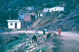 Problemas de basuras, barrio Santa Rita
CEHAP
PEVAL AT-PHP, 1988
Palabras clave: SANTA RITA