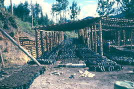 Vivero, El Peñol
CEHAP
PEVAL AT-PHP, 1987
Palabras clave: EL PEÑOL
