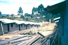 Troncos de guadua para mejoramiento de vivienda, El Peñol
CEHAP
PEVAL AT-PHP, 1987
Palabras clave: EL PEÑOL