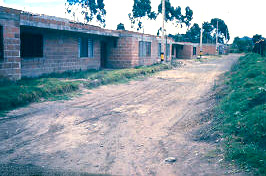 Mejoramiento de vivienda y calle sin pavimentar, barrio San Antonio
CEHAP
PEVAL AT-PHP, 1988
Palabras clave: SAN ANTONIO