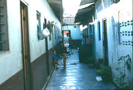 Corredor de vivienda compartida, Apartado
CEHAP
PEVAL, 1983
Palabras clave: VIVIENDA DE ALQUILER