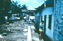 Apropiación de la calle, Apartado
CEHAP
PEVAL, 1983
Palabras clave: APARTADO