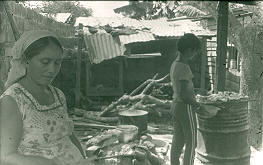 Actividades domesticas de los habitantes de Apartado
CEHAP
PEVAL, 1983
Palabras clave: VIVIENDA DE ALQUILER