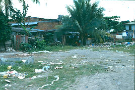 Exteriores con problemas de basuras, Apartado
CEHAP
PEVAL, 1983
Palabras clave: APARTADO