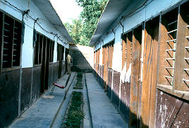 Corredor de inquilinato, Apartado
CEHAP
PEVAL, 1983
Palabras clave: INQUILINATOS