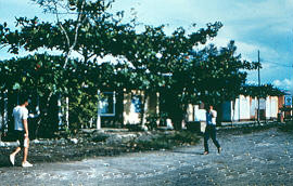 Calle sin pavimentar y fachada de viviendas, Apartado
CEHAP
PEVAL, 1983
Palabras clave: APARTADO