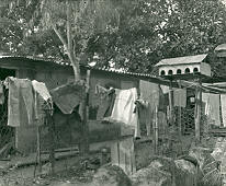 Solar y tendedero de ropa en Apartado, Uraba
CEHAP
PEVAL, 1983
Palabras clave: VIVIENDA DE ALQUILER