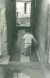Corredor, Apartado
CEHAP
PEVAL, 1983
Palabras clave: INQUILINATOS