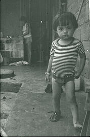 Niño, Apartado
CEHAP
PEVAL, 1983
Palabras clave: VIVIENDA DE ALQUILER