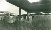 Nombre del archivo=D0091.jpg
Tamaño del archivo=30Kb
Dimensiones=251x150
Fecha añadida=04 de Septiembre de 06 D0091.jpg