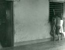 D0161.jpg