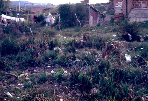 Problemas de basuras, barrio Aures
PEVAL 1988
Palabras clave: AURES
