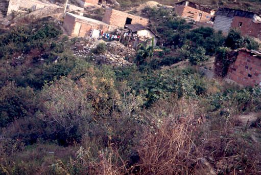 Viviendas en zona pendiente, barrio Aures de Medellin
PEVAL 1988
Palabras clave: BARRIOS PIRATAS ZONAS DE RIESGO