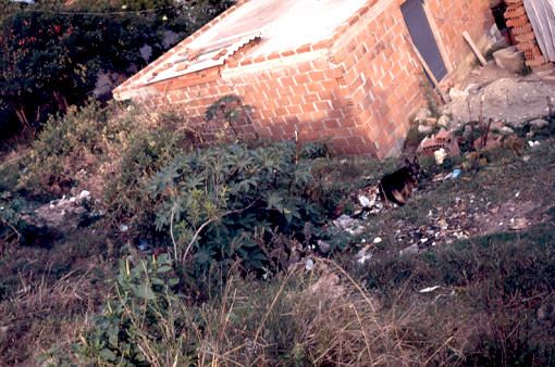 Espacios que rodean la vivienda, barrio Aures
PEVAL 1988
Palabras clave: AURES