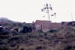 Nombre del archivo=D1709.jpg
Tamaño del archivo=32Kb
Dimensiones=512x342
Fecha añadida=17 de Octubre de 06 D1709.jpg