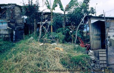 Precariedad de viviendas en el Barrio Kennedy de Medellin
Peval, 1983
Palabras clave: LOTES CON SERVICIOS KENNEDY