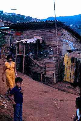 Cambuche en madera, Barrio 3 de Mayo de Cali
CEHAP
Gilma Mosquera, 1983
Palabras clave: VIVIENDA CALI