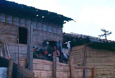 Vivienda de tipologia rural en esterilla de guadua, Barrio 3 de Mayo
CEHAP
Gilma Mosquera 1983
Palabras clave: VIVIENDA