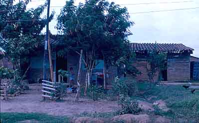 Vivienda de tipologia rural en esterilla de guadua, barrio Comuneros
CEHAP
Gilma Mosquera 1983
Palabras clave: VIVIENDA