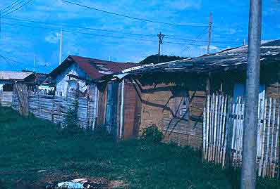 Viviendas de tipologia rural en esterilla de guadua, barrio Julio Rincon de Cali
CEHAP
Gilma Mosquera 1983
Palabras clave: VIVIENDA EN GUADUA