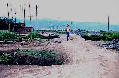 Calle sin pavimentar, barrio Petecuy I
CEHAP
Gilma Mosquera 1983

Palabras clave: BARRIOS