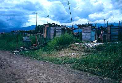 Viviendas provisionales o cambuches, barrio Petecuy I
CEHAP
Gilma Mosquera 1983
Palabras clave: VIVIENDA