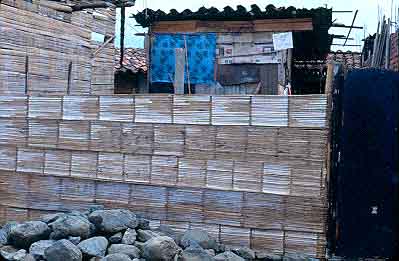 Vivienda en esterilla de guadua, barrio Petecuy I
CEHAP
Gilma Mosquera 1983
Palabras clave: VIVIENDA