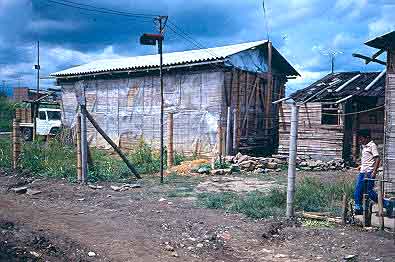 Cambuche en esterilla de guadua, barrio Petecuy 
CEHAP
Gilma Mosquera 1983

Palabras clave: VIVIENDA