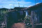 D01360.jpg