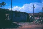 D01362.jpg
