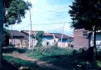 D01366.jpg