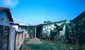D01385.jpg