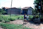 D01388.jpg