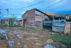 D01389.jpg