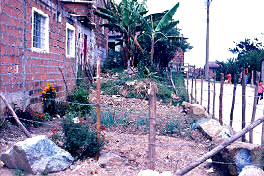 El antejardin y el cerco como filtros de acceso, barrio Doce de Octubre, Medellin
CEHAP
PEVAL 1985
Palabras clave: ACCESOS