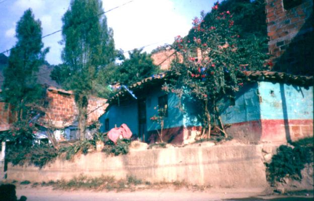 El arbol como simbolo de acceso
CEHAP
PEVAL 1985
Palabras clave: ACCESOS