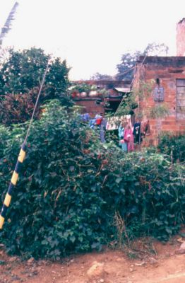 El arbol como simbolo de acceso
CEHAP
PEVAL, 1985
Palabras clave: ACCESOS