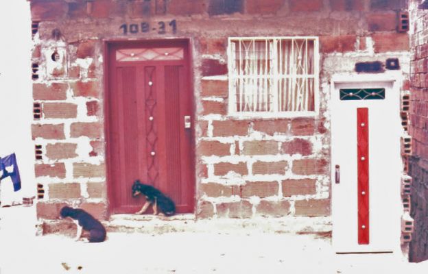 Fachada vivienda en bloque
CEHAP
PEVAL, 1985
Palabras clave: FACHADA