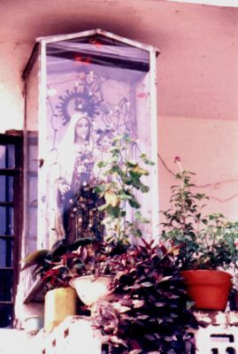 La concepcion del jardin y el uso de las fachadas, barrio Popular
CEHAP
PEVAL 1985
Palabras clave: ESPACIOS DE REPRESENTACION