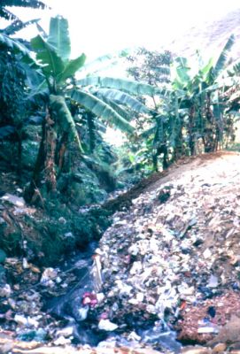Basuras y problemas de contaminacion, barrio Popular
CEHAP
PEVAL 1985
Palabras clave: ESPACIOS COLECTIVOS