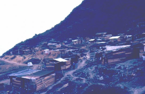 La invasion de tugurios llamados "Miradores del Doce"
CEHAP
PEVAL 1985
Palabras clave: BARRIOS