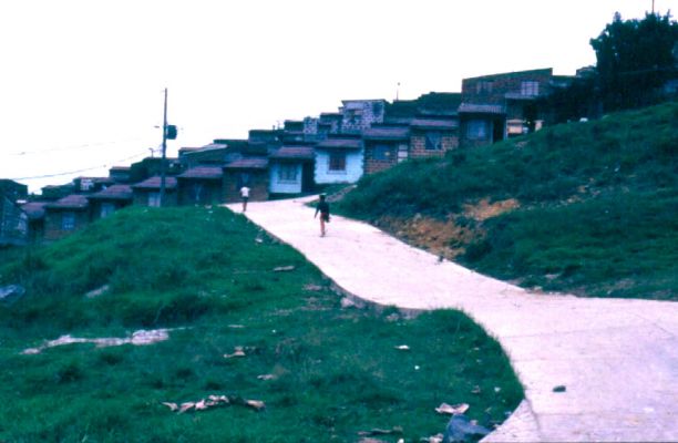 Las vias y sus condiciones higienicas, barrio Doce de Octubre
CEHAP
PEVAL 1985
Palabras clave: CIRCULACION