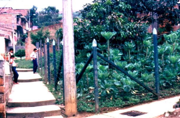 La concepción del jardín y los cerramientos, barrio Doce de Octubre
CEHAP
PEVAL 1985
Palabras clave: ESPACIOS DE REPRESENTACION