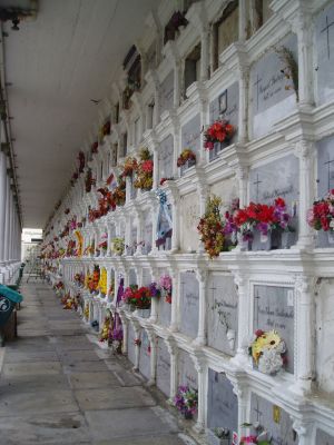 Galeria los Dolores, museo cementerio San Pedro 
CEHAP, 2007
Palabras clave: PATRIMONIO CEMENTERIO SAN PEDRO