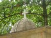 DSC07810.JPG