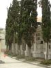 DSC07812.JPG