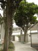 DSC07817.JPG